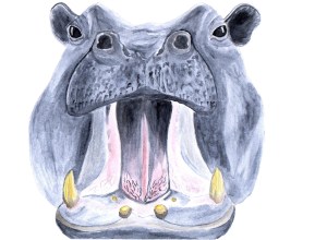 watercolor painting of a hippo