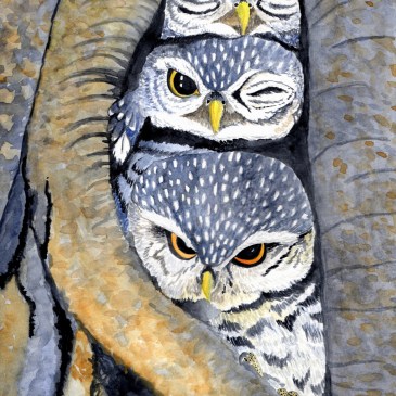 watercolor painting of three little owls sitting in a hollow tree