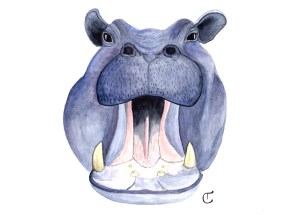 watercolor painting of a purple hippo