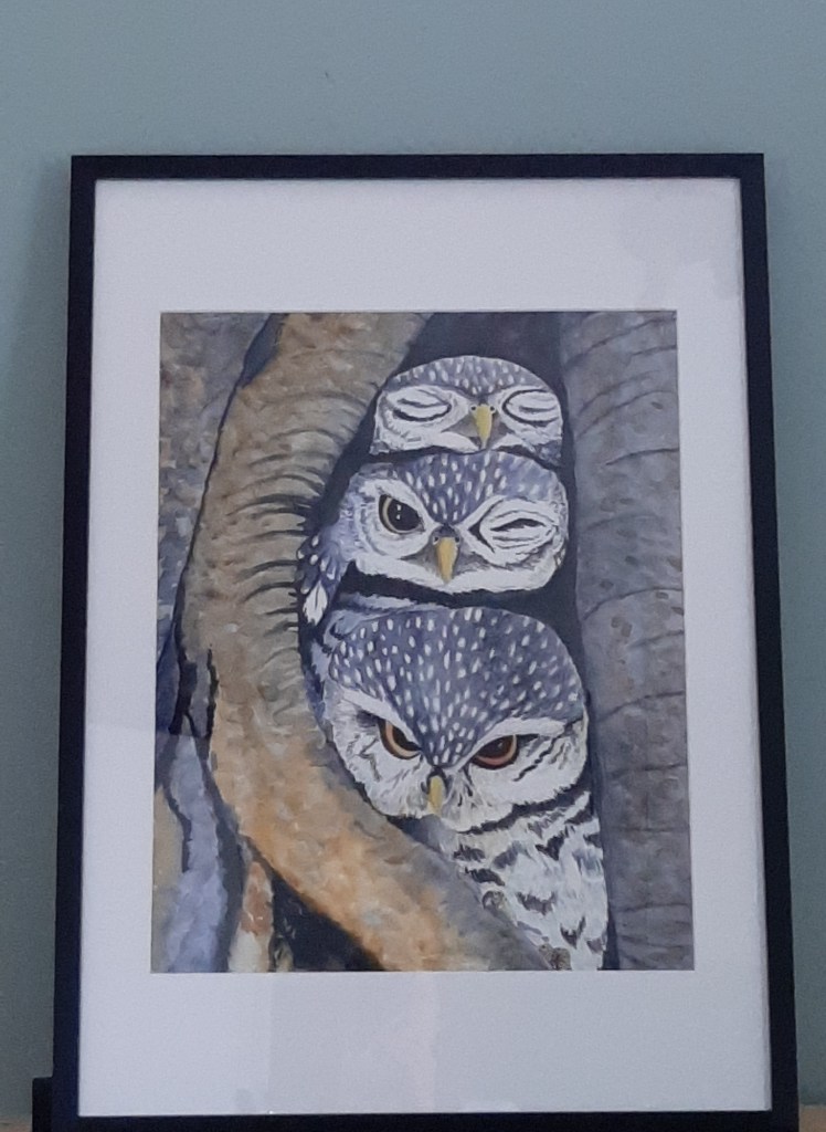 Grote fine art print drie uiltjes